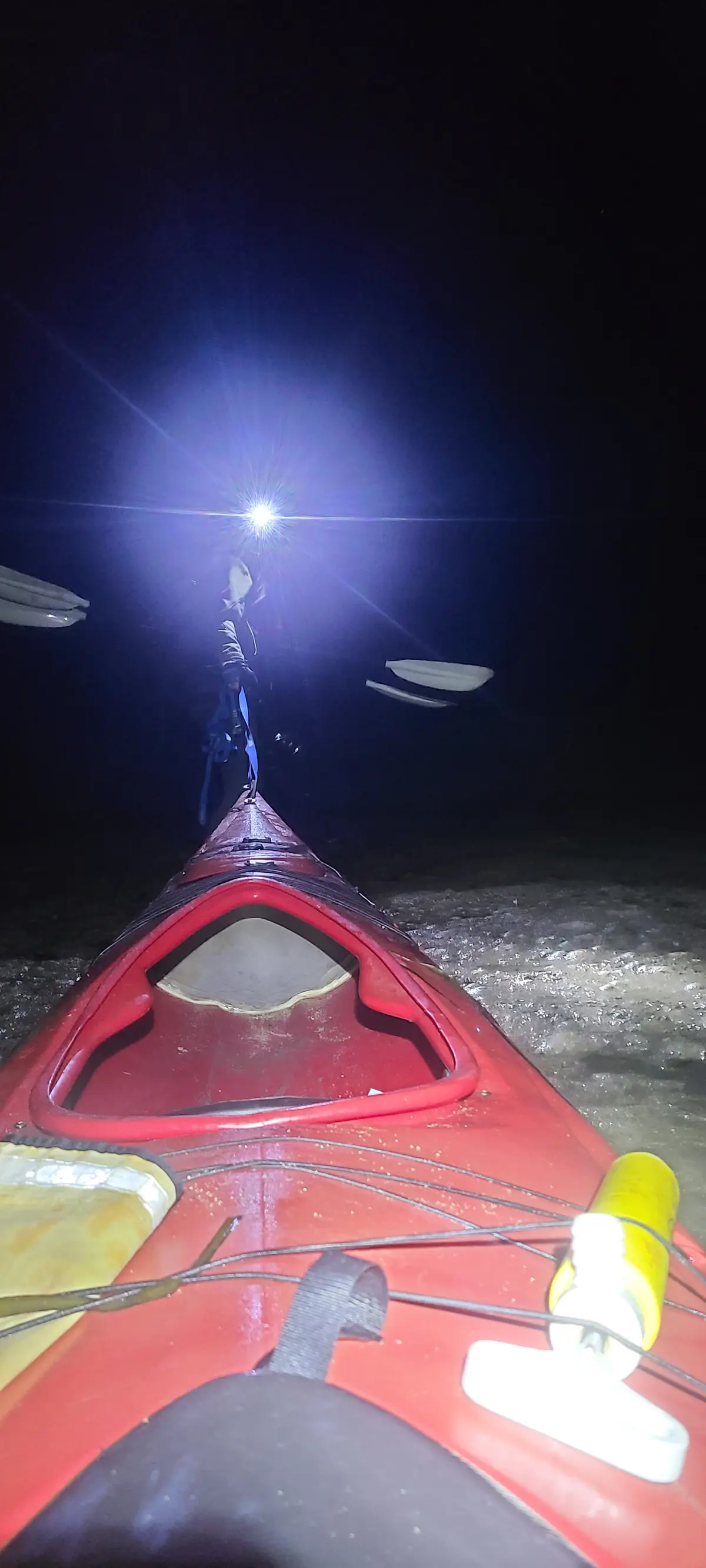 Night paddle through bioluminescent water