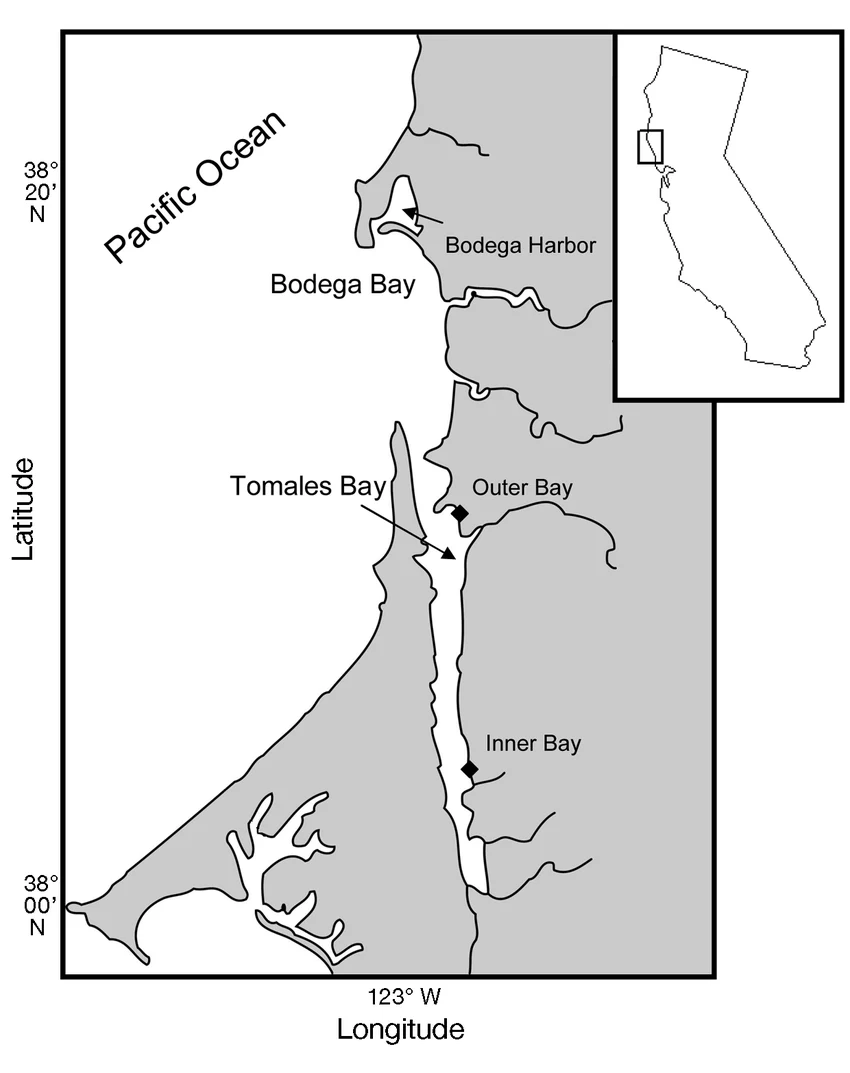 Map showing Bodega Bay and Tomales Bay on the Northern California coast, with diamond markers at the CeNCOOS buoy sites in Tomales Bay's outer and inner bay