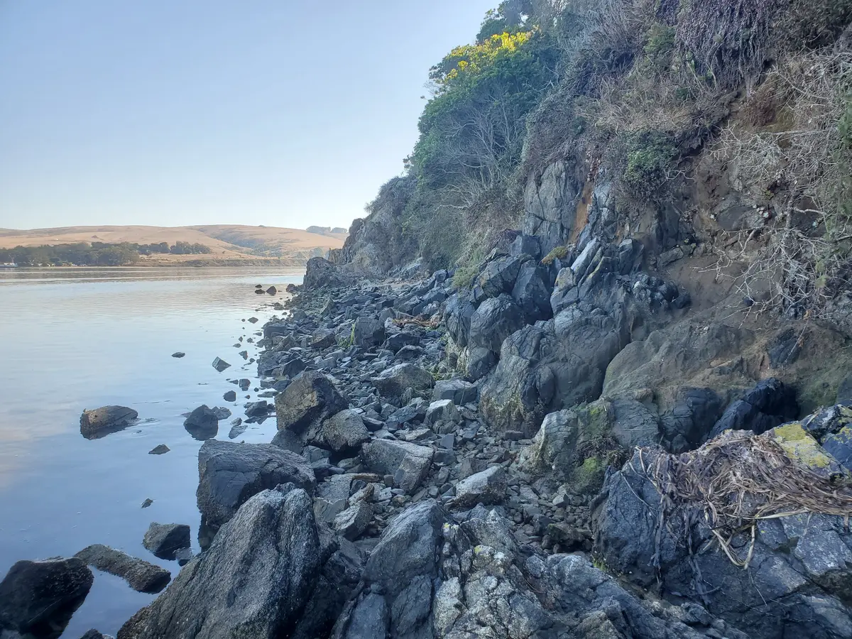 Rocky shoreline at low tide below the cliffs