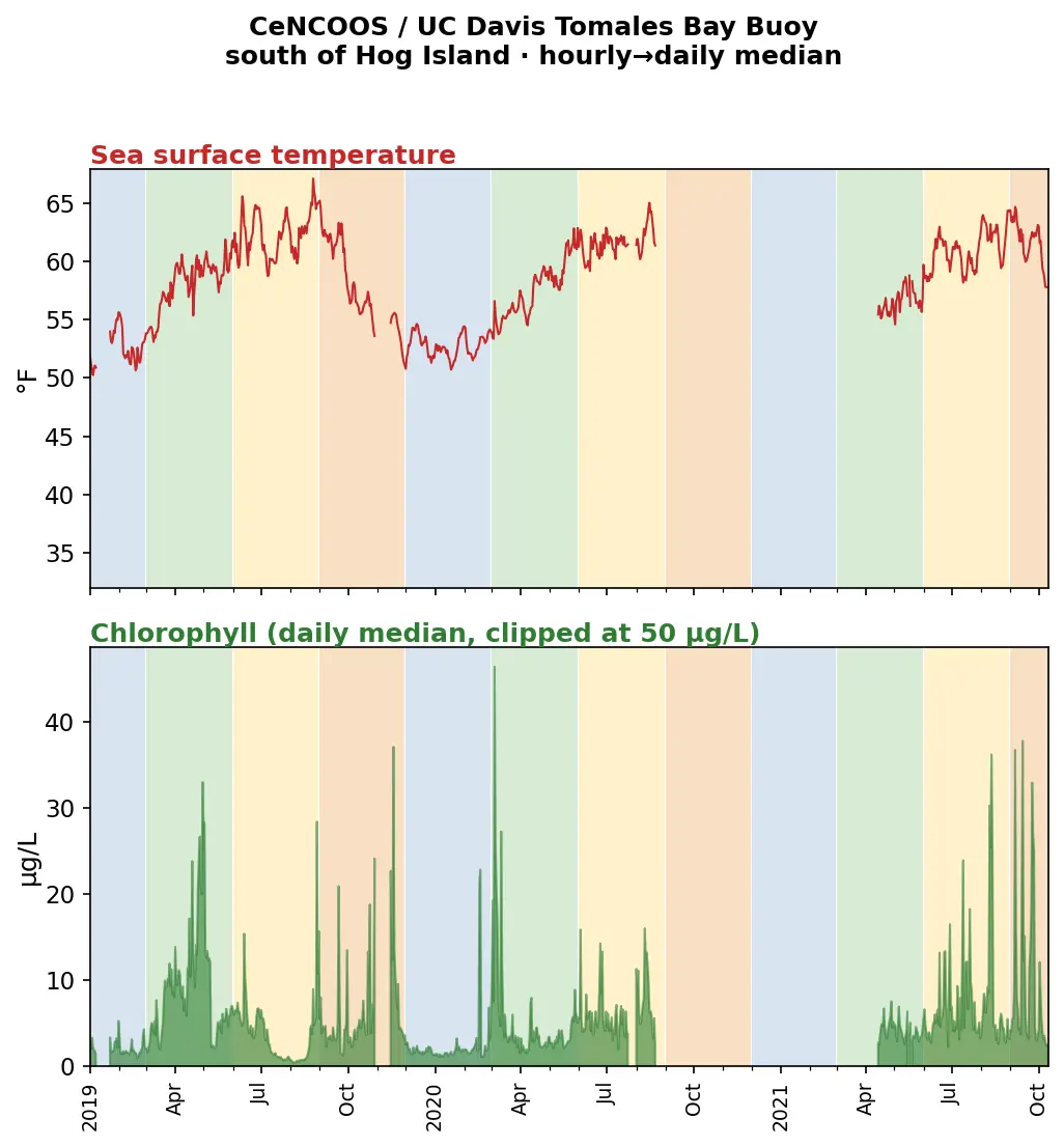 CeNCOOS/UC Davis Tomales Bay buoy: sea surface temperature and chlorophyll 2019–2021