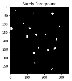Distance transformation eliminates a cell
