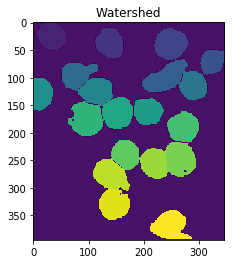 Labeled watershed components