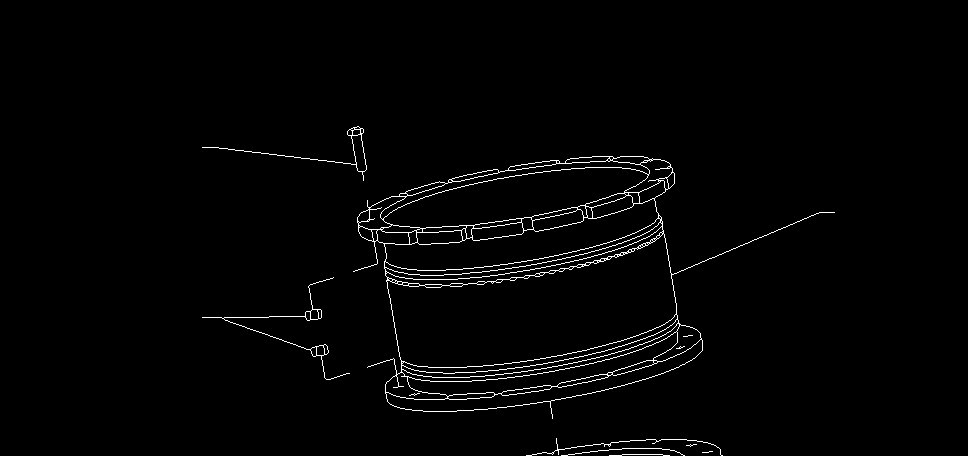 Skeleton with human modification