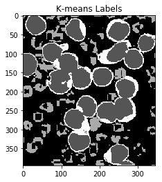 K-means labeled image with labels