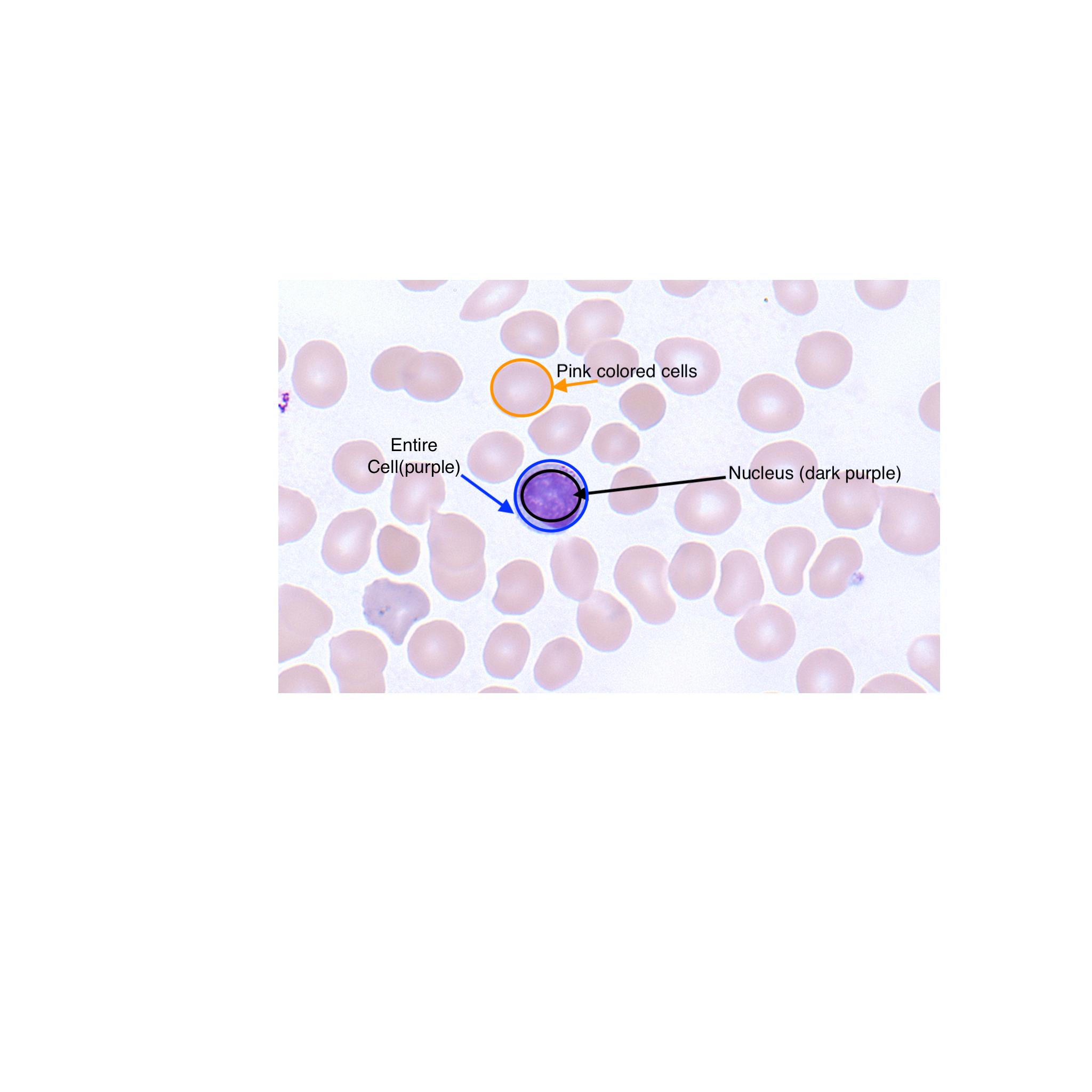 Color Thresholding image mask